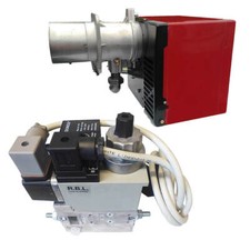 Riello R40 GS20 Gas Burner